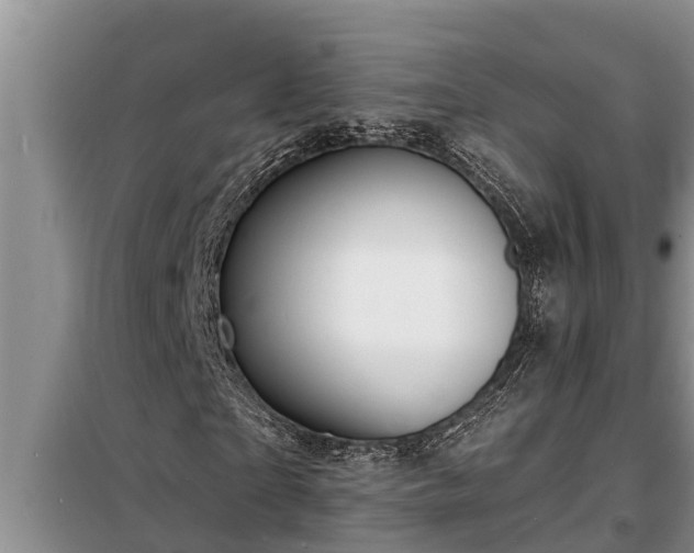 X0000098170865200805011012