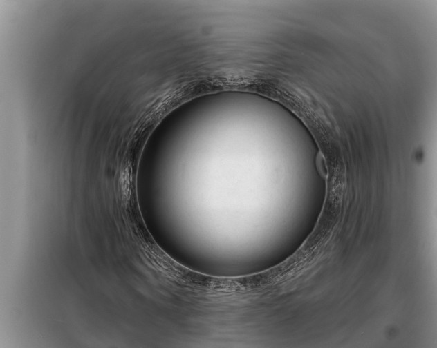 X0000098170866200805011012