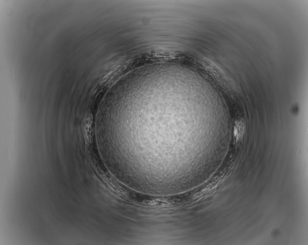 X0000098170867200805011012