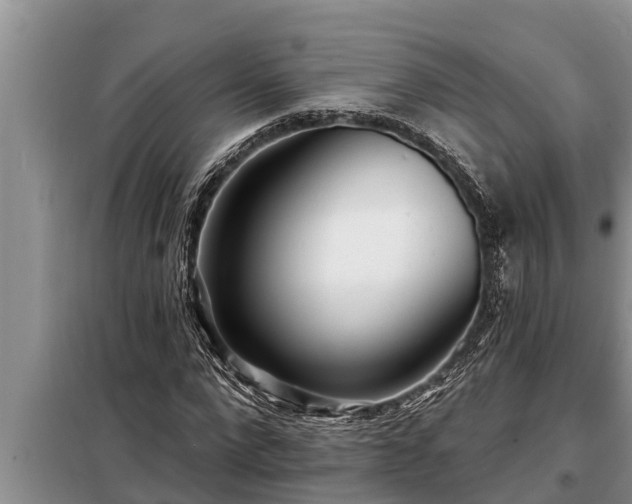 X0000098170872200805011011