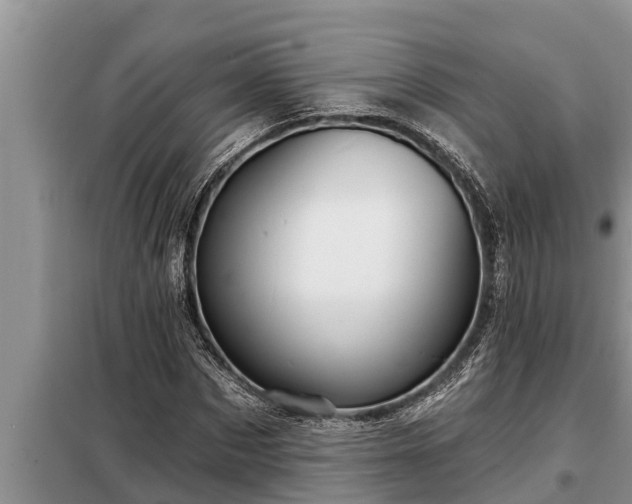 X0000098170873200805011011