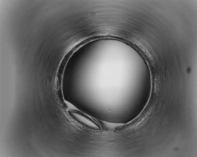 X0000098170876200805011011