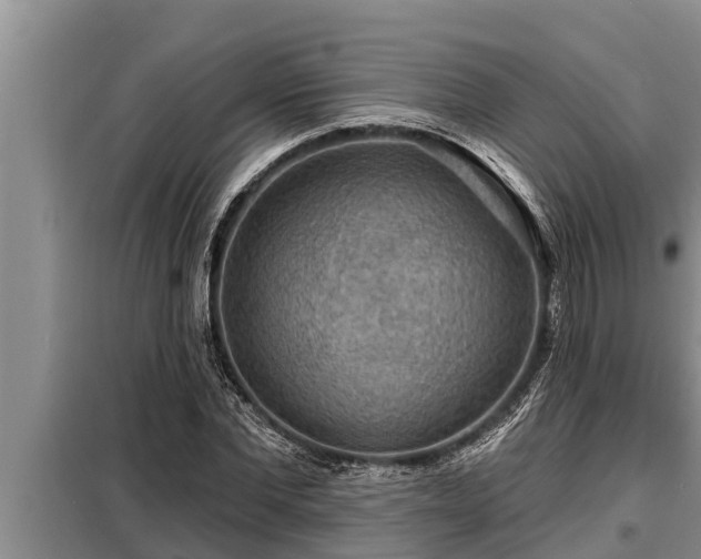 X0000098170877200805011011