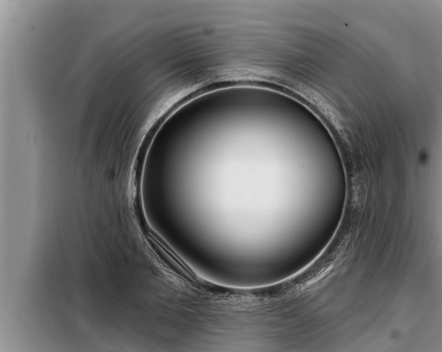 X0000098170885200805011011