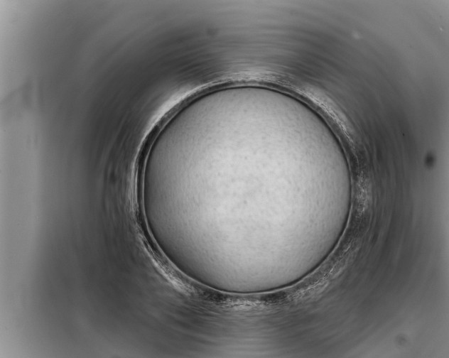 X0000098170886200805011011