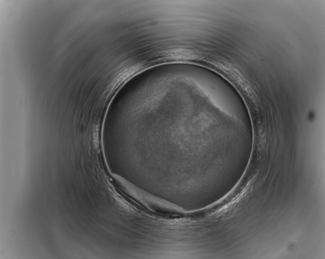 X0000098170889200805011011