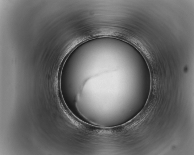 X0000098170890200805011011