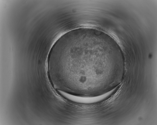 X0000098170891200805011011