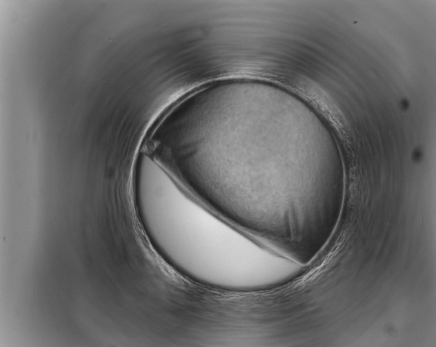 X0000098170892200805011011