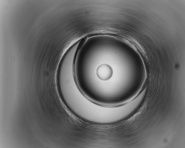 X0000098170893200805011011