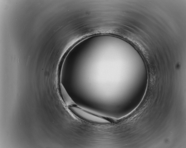 X0000098170894200805011011