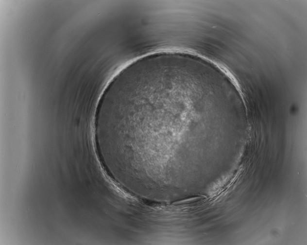 X0000098170895200805011011