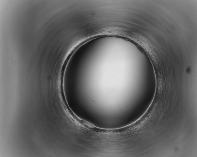 X0000098170896200805011011