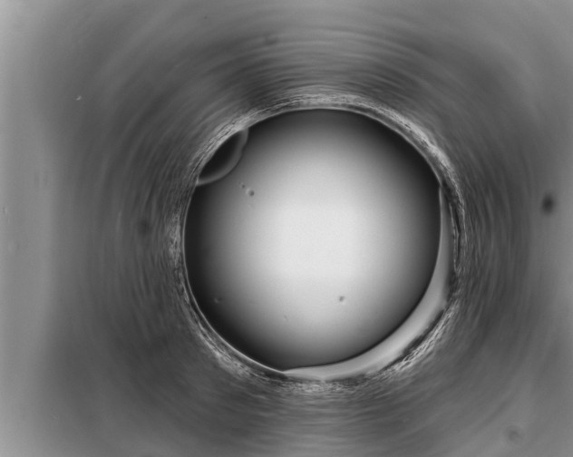 X0000098170897200805011011