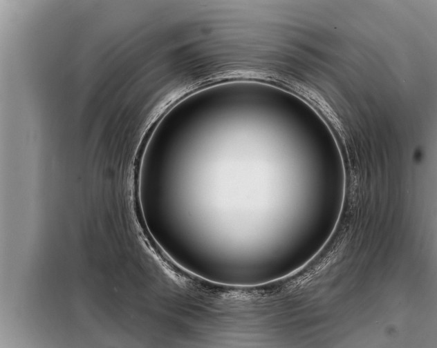 X0000098170898200805011011