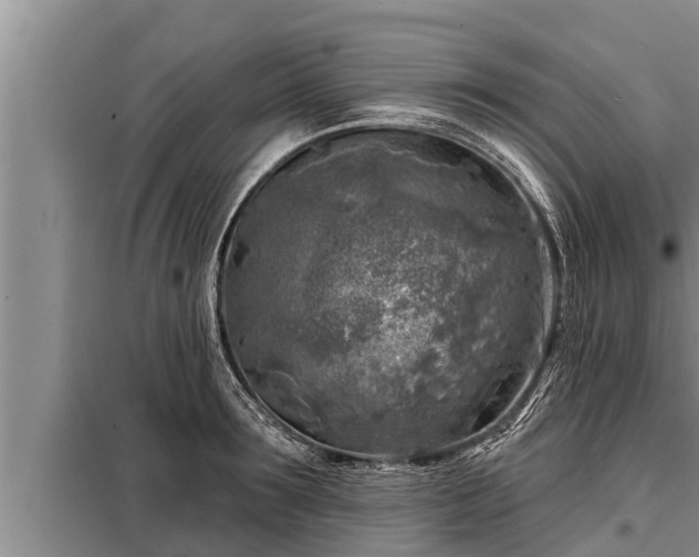 X0000098170899200805011011