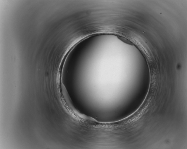 X0000098170900200805011011