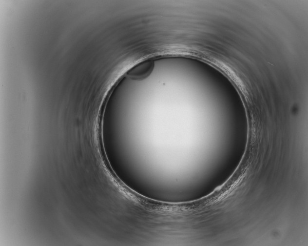 X0000098170901200805011011