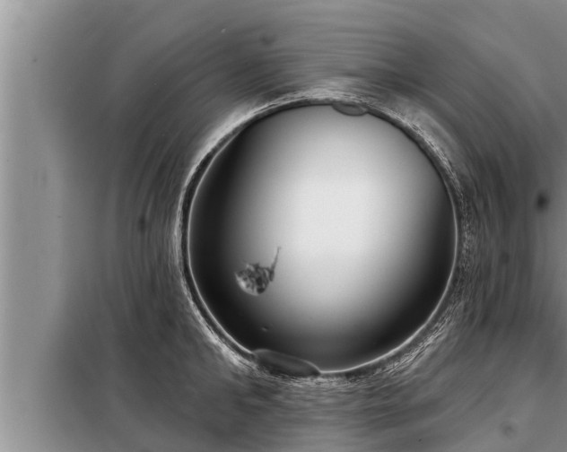 X0000098170902200805011011