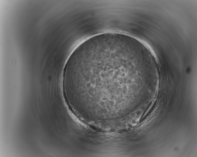 X0000098170903200805011011