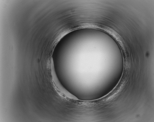 X0000098170905200805011011