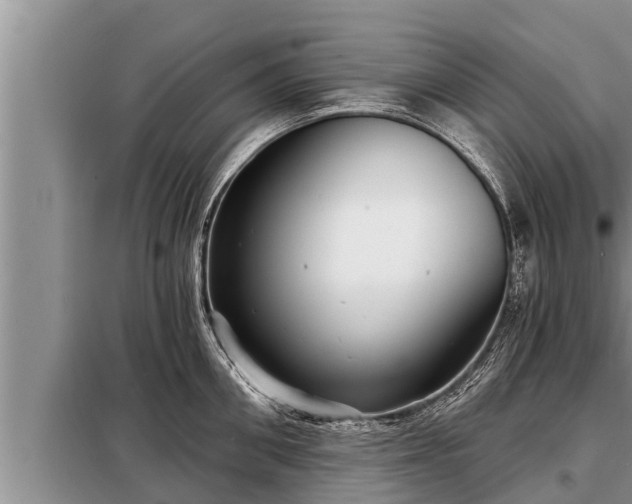 X0000098170906200805011011