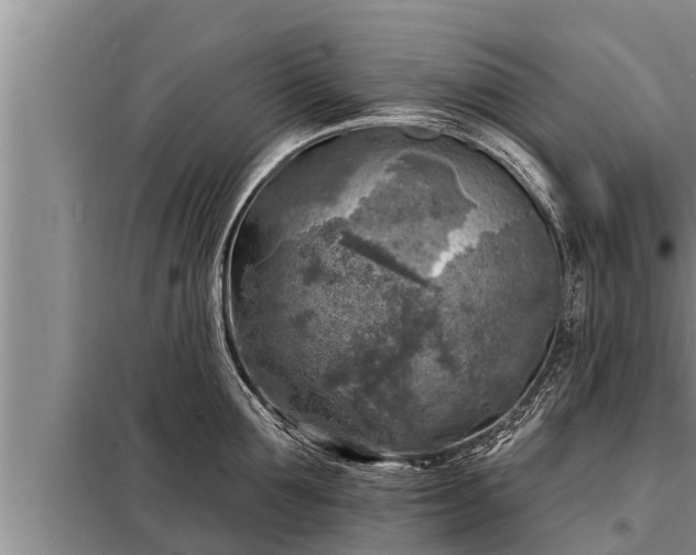 X0000098170907200805011011