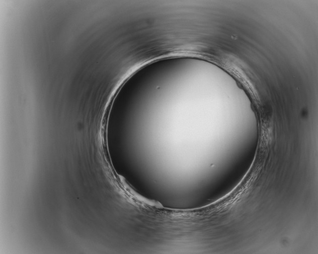 X0000098170908200805011011