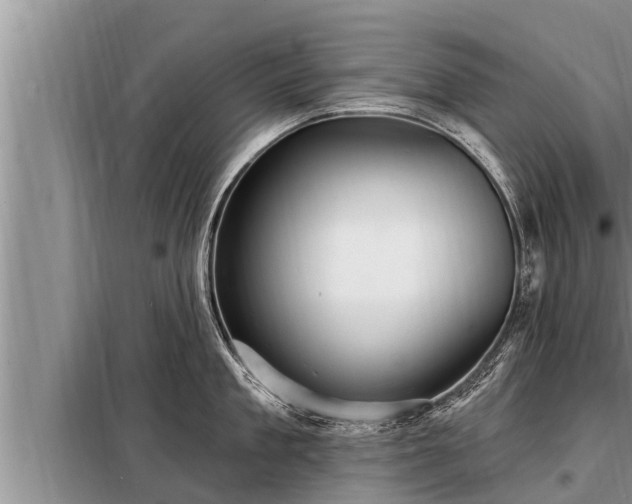 X0000098170909200805011011