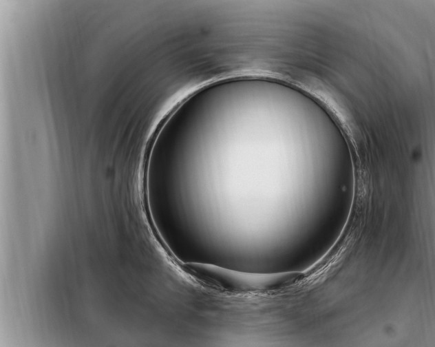 X0000098170910200805011011