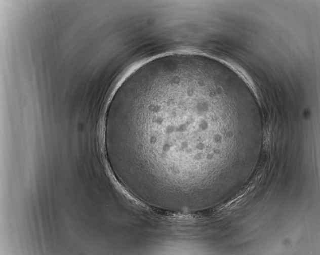 X0000098170911200805011011