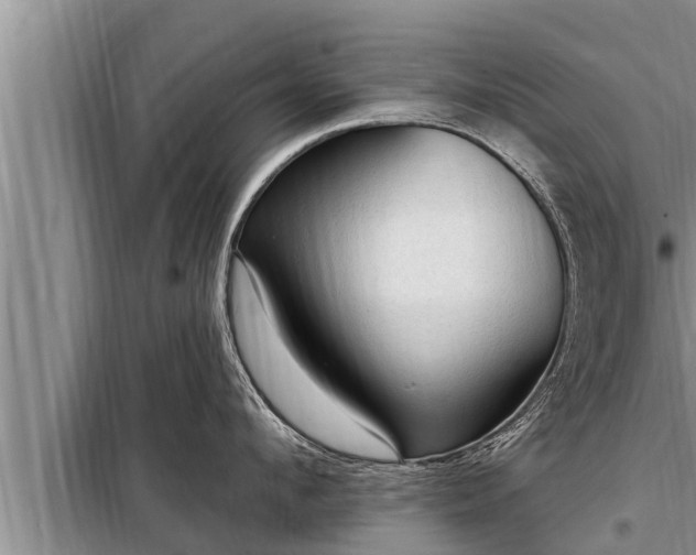 X0000098170912200805011011