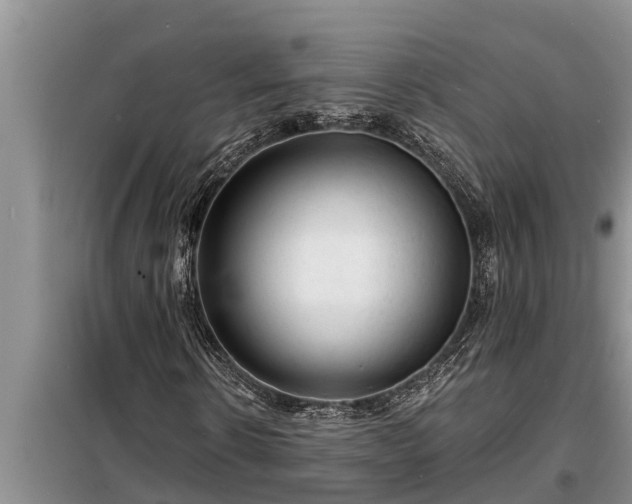 X0000098170914200805011010