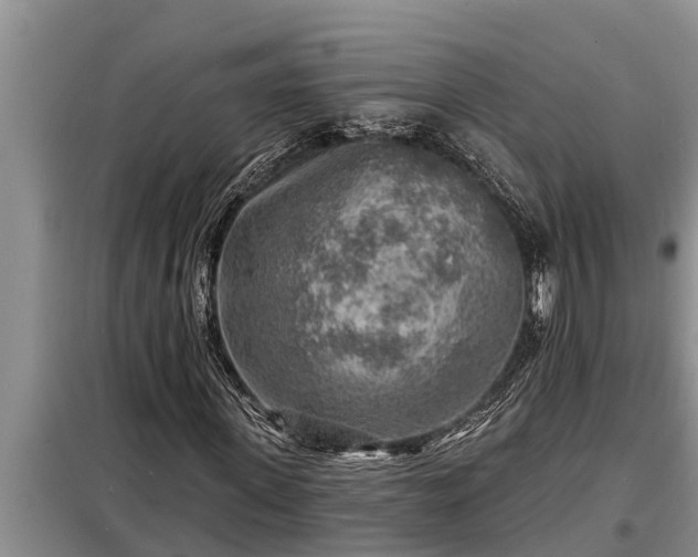 X0000098170915200805011010