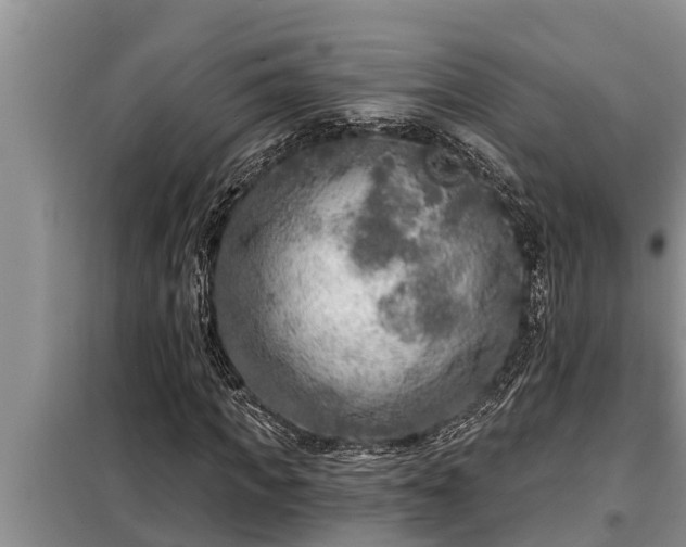 X0000098170917200805011010