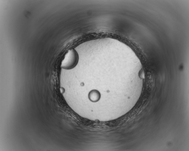 X0000098170918200805011010