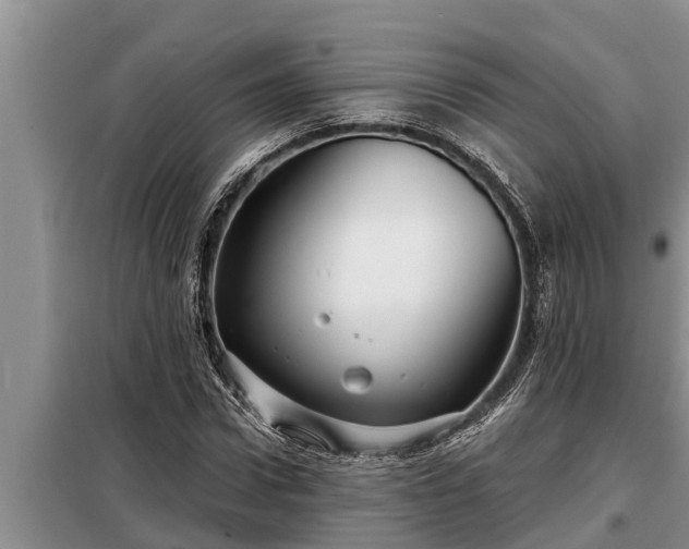 X0000098170922200805011010