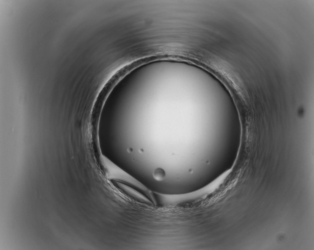 X0000098170924200805011010