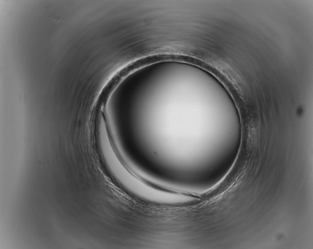 X0000098170926200805011010