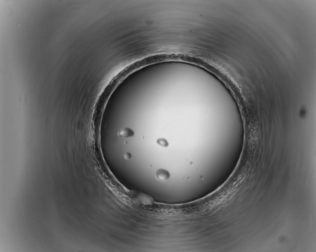 X0000098170927200805011010