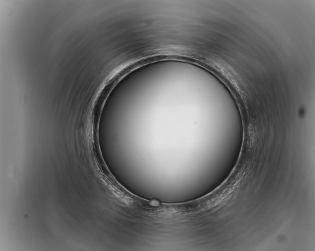 X0000098170931200805011011