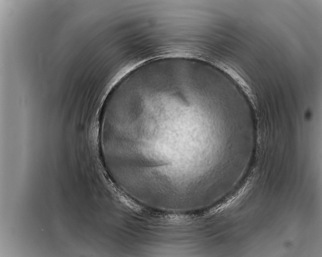 X0000098170933200805011011