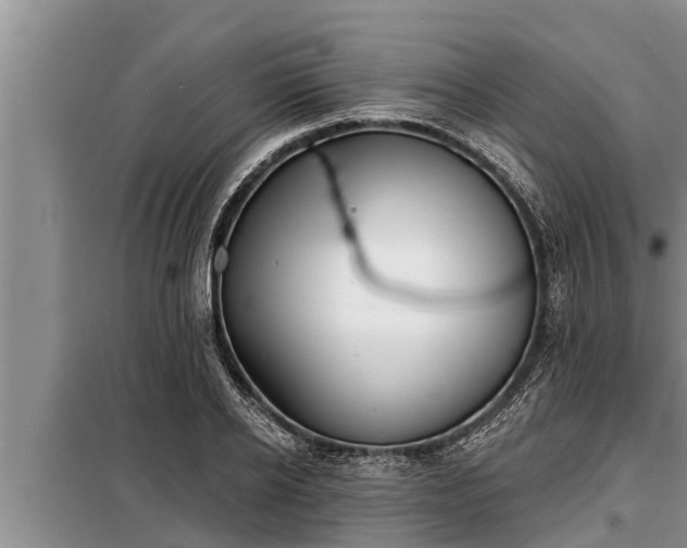 X0000098170934200805011011