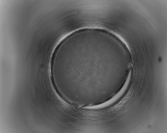 X0000098170935200805011011