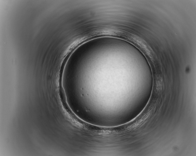 X0000098170938200805011011