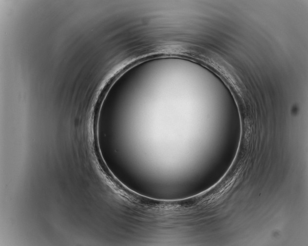 X0000098170939200805011011