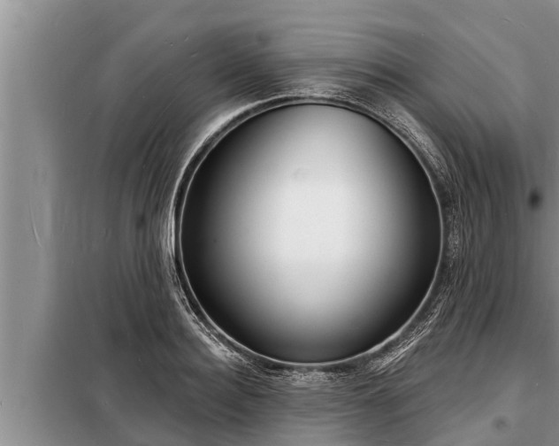 X0000098170940200805011011