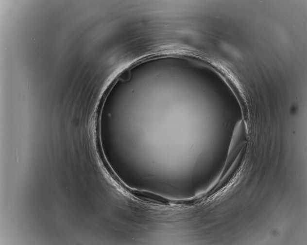 X0000098170941200805011011