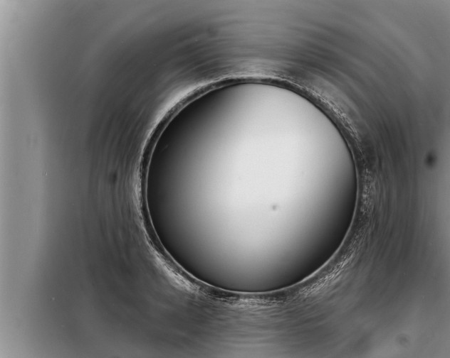 X0000098170942200805011011