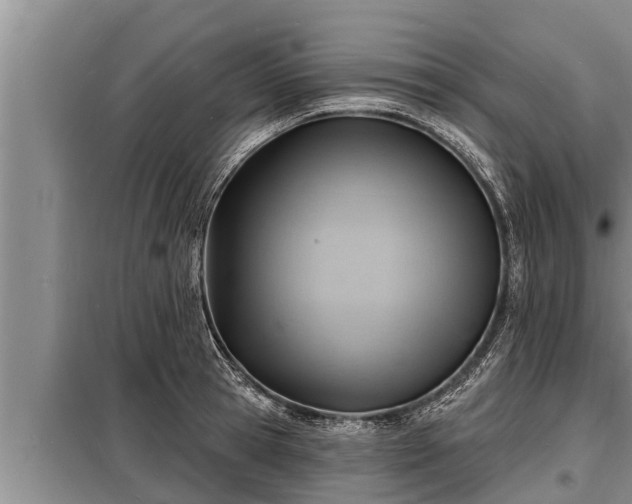 X0000098170945200805011011